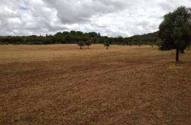 Diamond Farms Algarve for Sale in Silves