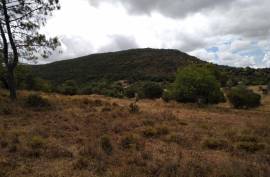 Diamond Farms Algarve for Sale in Silves