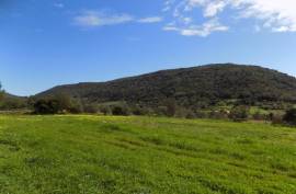 Diamond Farms Algarve for Sale in Silves