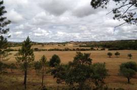 Diamond Farms Algarve for Sale in Silves