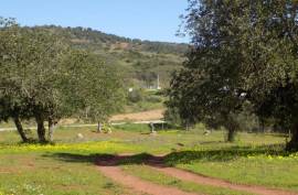 Diamond Farms Algarve for Sale in Silves