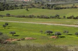 Diamond Farms Algarve for Sale in Silves