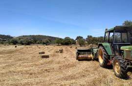 Diamond Farms Algarve for Sale in Silves