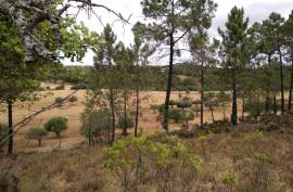 Diamond Farms Algarve for Sale in Silves