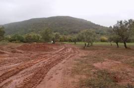 Diamond Farms Algarve for Sale in Silves