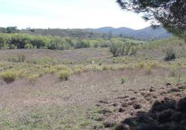 Farm with house to recover in São Marcos da Serra