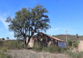 Farm with house to recover in São Marcos da Serra