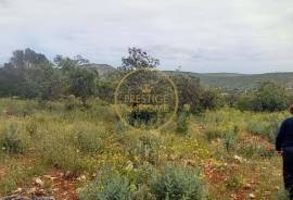 Rustic Land with Carob and Almond Trees - 7,840 m² of Nature and Potential