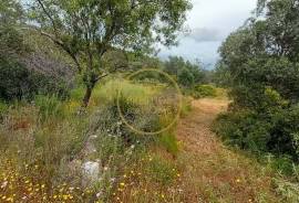 Rustic Land with Carob and Almond Trees - 7,840 m² of Nature and Potential