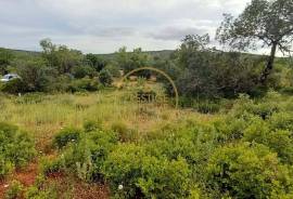 Rustic Land with Carob and Almond Trees - 7,840 m² of Nature and Potential