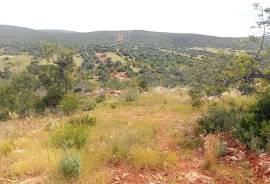 Rustic Land with Carob and Almond Trees - 7,840 m² of Nature and Potential