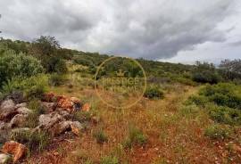 Rustic Land with Carob and Almond Trees - 7,840 m² of Nature and Potential