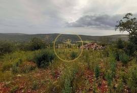 Rustic Land with Carob and Almond Trees - 7,840 m² of Nature and Potential