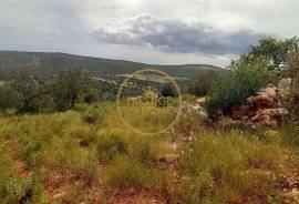 Rustic Land with Carob and Almond Trees - 7,840 m² of Nature and Potential