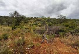 Rustic Land with Carob and Almond Trees - 7,840 m² of Nature and Potential