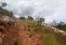 Rustic Land with Carob and Almond Trees - 7,840 m² of Nature and Potential