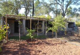 Rustic land near Alte