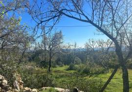 Land for sale with Ruin - Alfeição, Loulé