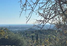 Land for sale with Ruin - Alfeição, Loulé