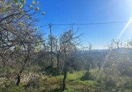 Land for sale with Ruin - Alfeição, Loulé