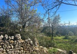 Land for sale with Ruin - Alfeição, Loulé