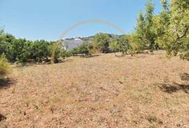 Land for sale with Ruin - Alfeição, Loulé