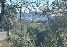 Land for sale with Ruin - Alfeição, Loulé