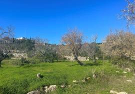 Land for sale with Ruin - Alfeição, Loulé