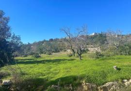 Land for sale with Ruin - Alfeição, Loulé