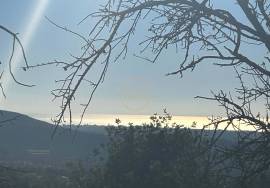 Land for sale with Ruin - Alfeição, Loulé