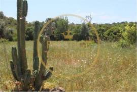 Land with 600 m2, located in Campina (Loulé)