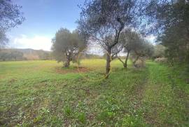 Beautiful mixed and flat land of 10699 m2, located on the edge of a river with a ruin of 124 m2, carrying ancient charm, consisting of 4 rooms, along with annexes and a well.