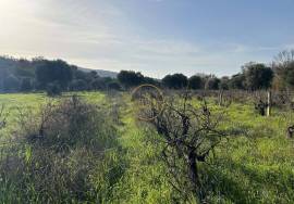 Beautiful mixed and flat land of 10699 m2, located on the edge of a river with a ruin of 124 m2, carrying ancient charm, consisting of 4 rooms, along with annexes and a well.