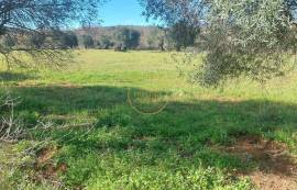 Beautiful mixed and flat land of 10699 m2, located on the edge of a river with a ruin of 124 m2, carrying ancient charm, consisting of 4 rooms, along with annexes and a well.