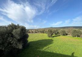 Beautiful mixed and flat land of 10699 m2, located on the edge of a river with a ruin of 124 m2, carrying ancient charm, consisting of 4 rooms, along with annexes and a well.