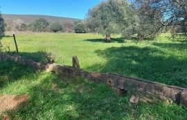 Beautiful mixed and flat land of 10699 m2, located on the edge of a river with a ruin of 124 m2, carrying ancient charm, consisting of 4 rooms, along with annexes and a well.