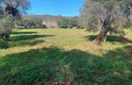 Beautiful mixed and flat land of 10699 m2, located on the edge of a river with a ruin of 124 m2, carrying ancient charm, consisting of 4 rooms, along with annexes and a well.