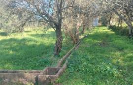 Beautiful mixed and flat land of 10699 m2, located on the edge of a river with a ruin of 124 m2, carrying ancient charm, consisting of 4 rooms, along with annexes and a well.