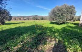 Beautiful mixed and flat land of 10699 m2, located on the edge of a river with a ruin of 124 m2, carrying ancient charm, consisting of 4 rooms, along with annexes and a well.