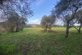 Beautiful mixed and flat land of 10699 m2, located on the edge of a river with a ruin of 124 m2, carrying ancient charm, consisting of 4 rooms, along with annexes and a well.