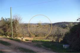 Flat land with 19720 m2 with almond tree plantation