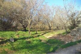 Flat land with 19720 m2 with almond tree plantation