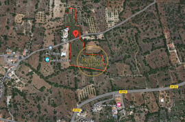 Flat land with 19720 m2 with almond tree plantation