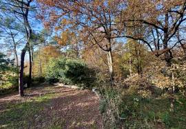 Magnifique chalet en pleine foret