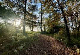 Magnifique chalet en pleine foret