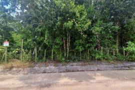 Excellent Plot of land for sale in Trancoso Bahia