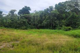 Excellent Plot of land for sale in Rousillac Trinidad and