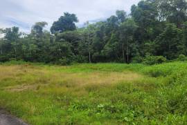 Excellent Plot of land for sale in Rousillac Trinidad and