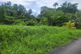 Excellent Plot of land for sale in Rousillac Trinidad and