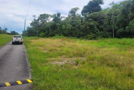 Excellent Plot of land for sale in Rousillac Trinidad and